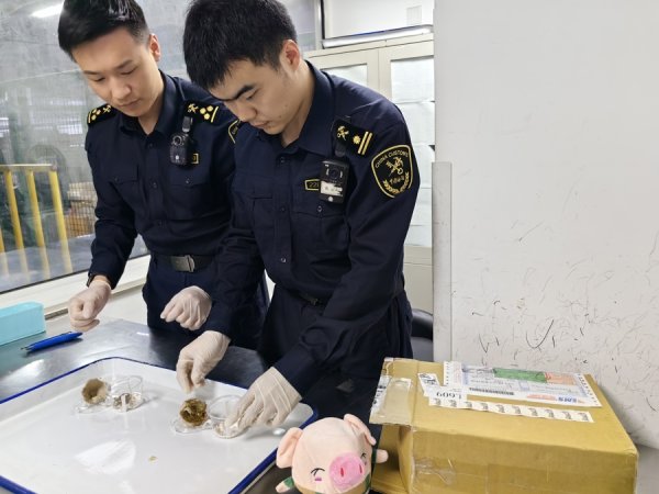 上证速配 “异宠”凶猛！去年大幅增长200%，别乱买！|申观察