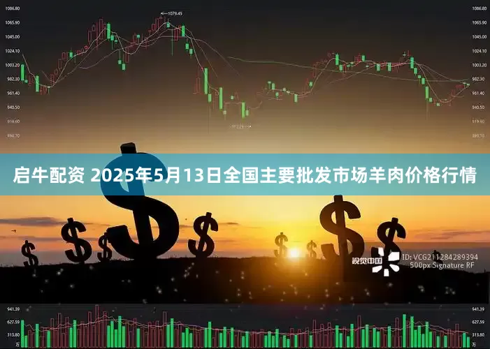 启牛配资 2025年5月13日全国主要批发市场羊肉价格行情