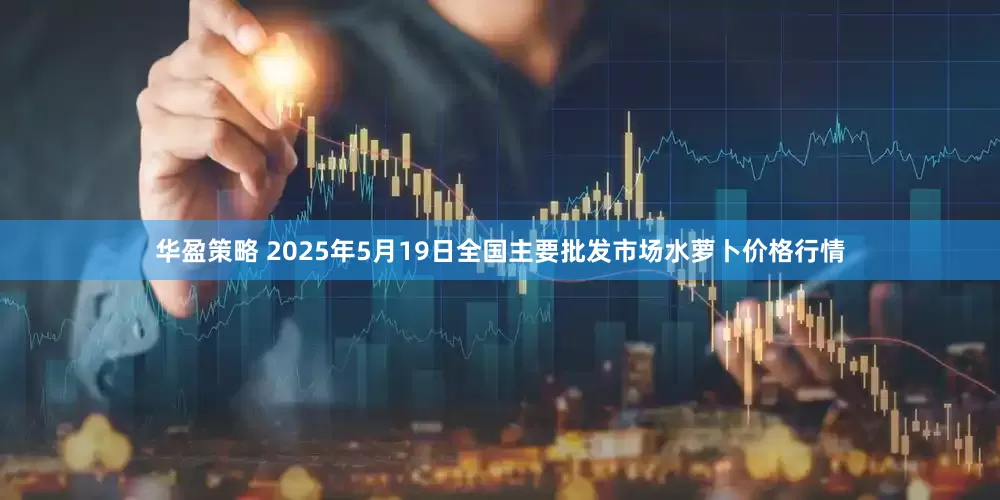 华盈策略 2025年5月19日全国主要批发市场水萝卜价格行情
