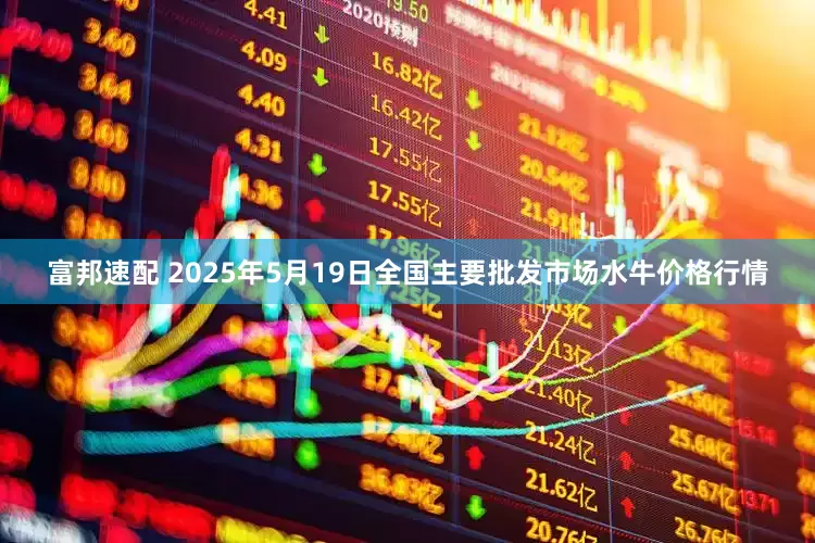 富邦速配 2025年5月19日全国主要批发市场水牛价格行情