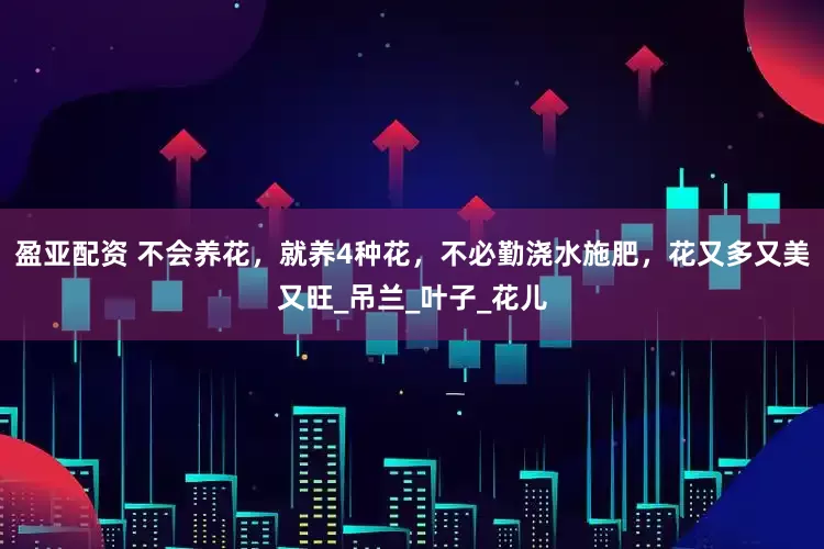 盈亚配资 不会养花，就养4种花，不必勤浇水施肥，花又多又美又旺_吊兰_叶子_花儿