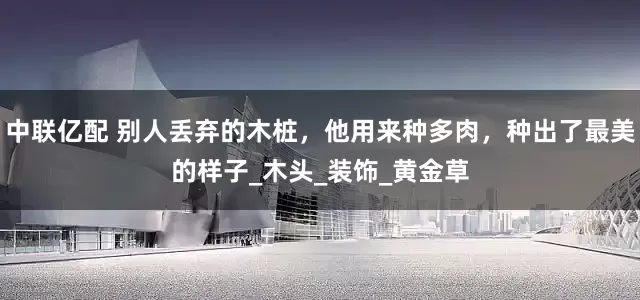 中联亿配 别人丢弃的木桩，他用来种多肉，种出了最美的样子_木头_装饰_黄金草