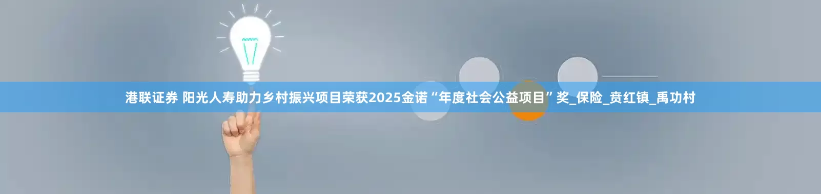 港联证券 阳光人寿助力乡村振兴项目荣获2025金诺“年度社会公益项目”奖_保险_贲红镇_禹功村