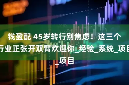 钱盈配 45岁转行别焦虑！这三个行业正张开双臂欢迎你_经验_系统_项目